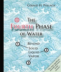 The Fourth Phaseof Water: Beyond Solid, Liquid, and Vapor